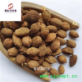 砂仁 进口圆果砂仁选货 产地海外 圆果饱满图2