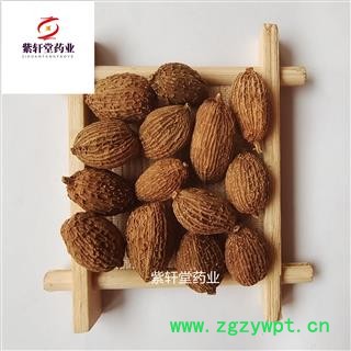 砂仁 进口圆果砂仁选货 产地海外 圆果饱满图4