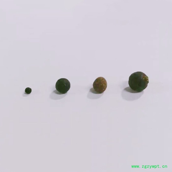 中药粉末制丸 中药配方颗粒加工 水丸蜜丸中药粉制做微丸OEM贴牌图2