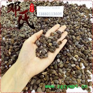 砂仁 壳砂仁米 砂米 选货 优选品质 产地直供 邓氏中药批发图3