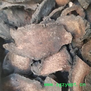 肉苁蓉 管花肉苁蓉，选货，硬大芸 大芸 大云咸大芸 沙漠人参图2