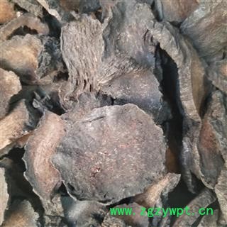 肉苁蓉 管花肉苁蓉，选货，硬大芸 大芸 大云咸大芸 沙漠人参