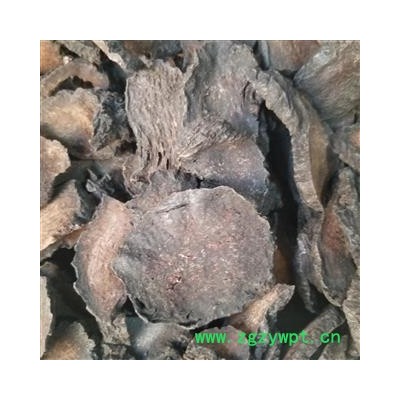 肉苁蓉 管花肉苁蓉，选货，硬大芸 大芸 大云咸大芸 沙漠人参