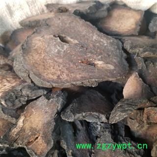 肉苁蓉 管花肉苁蓉，选货，硬大芸 大芸 大云咸大芸 沙漠人参图3