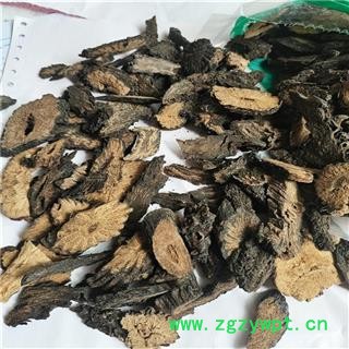 肉苁蓉 软03内蒙软大芸 产地 内蒙古自治区赤峰市图2