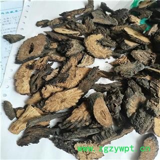 肉苁蓉 软03内蒙软大芸 产地 内蒙古自治区赤峰市图3