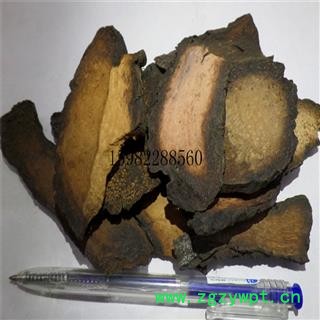 【满298元包邮】肉苁蓉 硬大芸选片 产地 新疆维吾尔自治区阿克苏地区阿克苏市图3