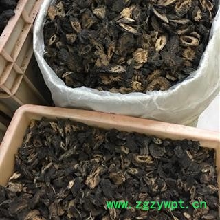 肉苁蓉 软大芸 统片 2021 产地 新疆维吾尔自治区克拉玛依市克拉玛依区图2