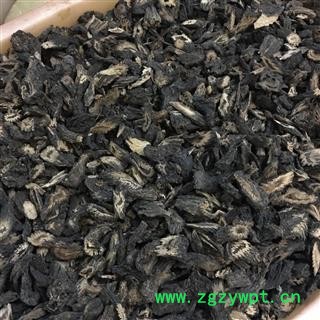 肉苁蓉 软大芸 统片 2021 产地 新疆维吾尔自治区克拉玛依市克拉玛依区