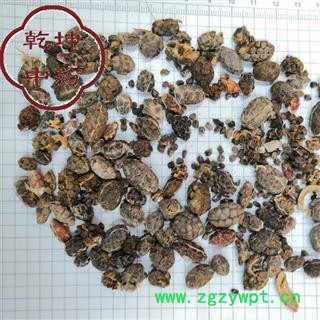 砂仁米，  砂仁 统货，高含量 产地 云南省【品种齐全 诚信经营】图2