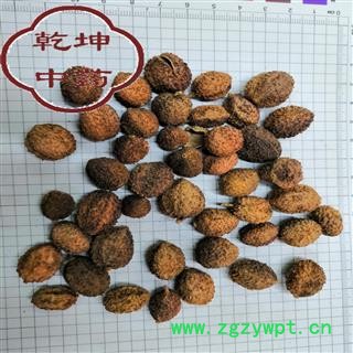 砂仁 阳春砂仁 正品，包药检 产地 广东省【品种齐全 诚信经营】图2