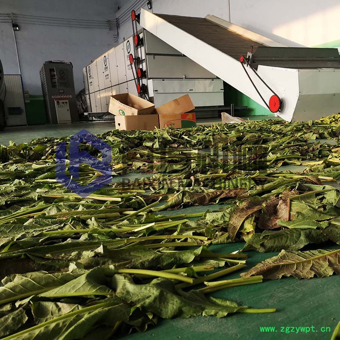 百信中药材烘干机 中药材脱水设备 烘干机厂家价格 网带式中药材烘干机图4
