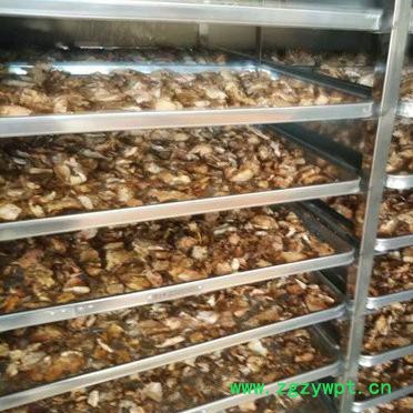 中药材烘干机 金凯药材烘干机厂家 空气能中药材烘干机 节能型中药材烘干机 招商 加盟图2