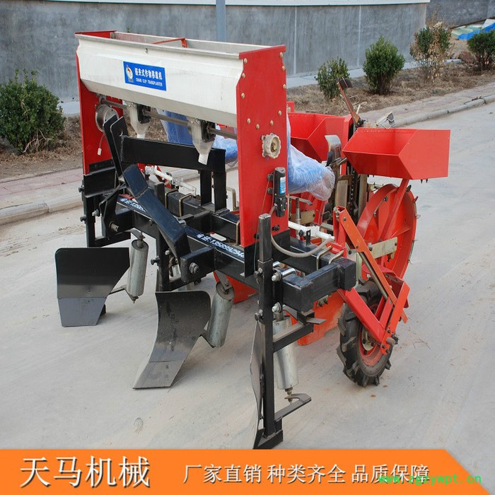 天马2zq中药材移栽机  丹参移栽机 药材移栽机 定制生产