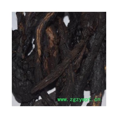 安祁名药肉苁蓉 软质 产地 新疆维吾尔自治区