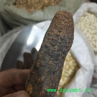 肉苁蓉 硬质 大芸 个 好统货 产地 新疆维吾尔自治区图4