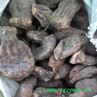 肉苁蓉 硬质 大芸 个 好统货 产地 新疆维吾尔自治区图2