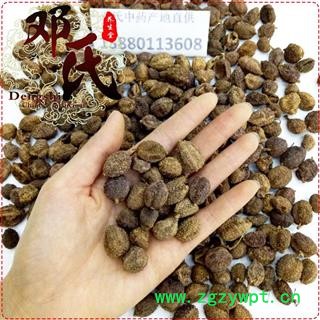 阳春砂仁带壳选货500克起批散装批发产地直供邓氏中药材批发图3