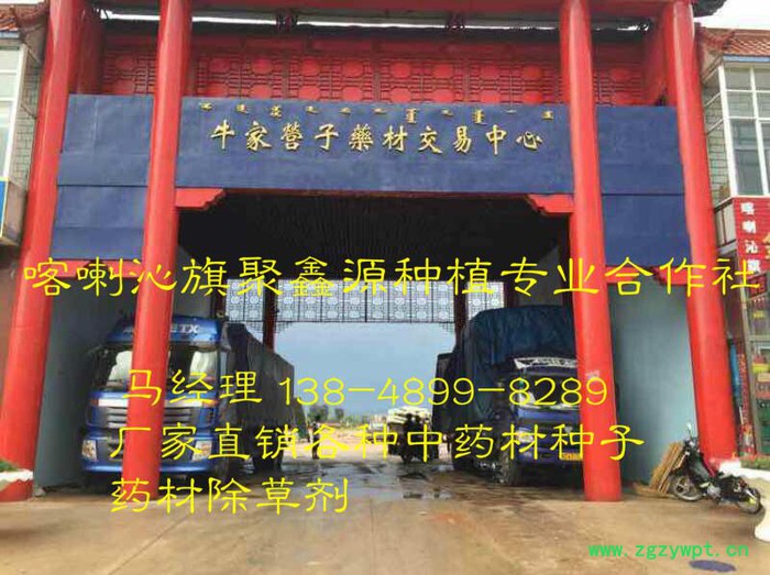 【聚鑫源】药田宝中药材除草剂 供应药田宝桔梗除草剂  药田桔梗除草剂  桔梗专用除草剂 药材除草剂 中药材除草剂生产厂家图3