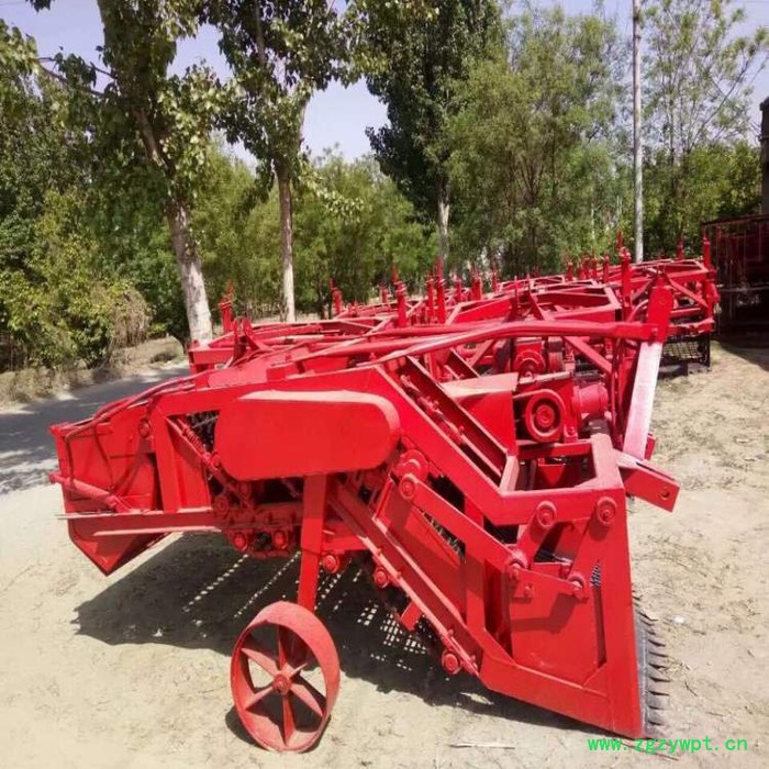 新款中药材挖掘机价格 药材起药机厂家 白芷药材挖掘机 根茎类药材挖掘机报价图3