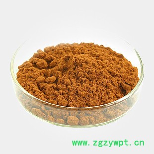 嘉叶 异嗪皮啶---中药 CAS:486-21-5 植物提取物 量多价廉图2