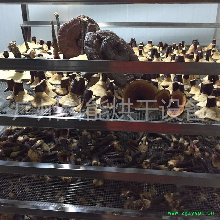 灵芝烘干机 全自动中药材烘干设备厂家 科能KN-360RD图3