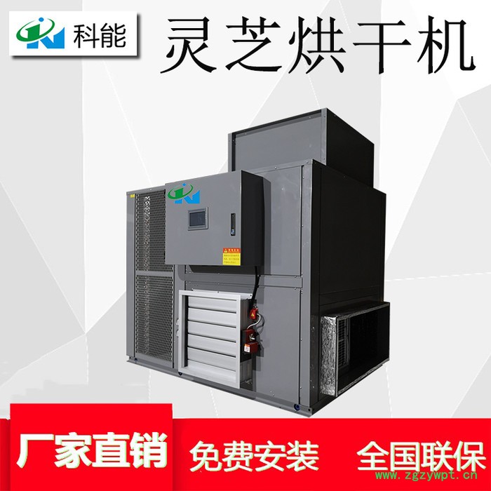 灵芝烘干机 全自动中药材烘干设备厂家 科能KN-360RD图5