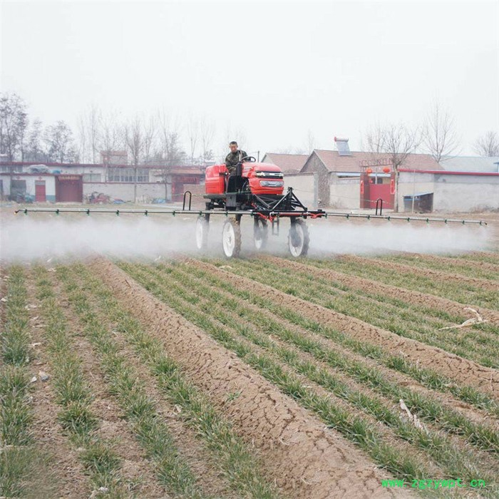 常州蔬菜 中药材 自走式打药机经销商 科博图8