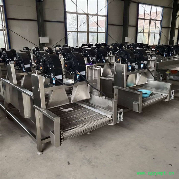 中药材风干线大枣风干机 娃娃菜连续式清洗机图2