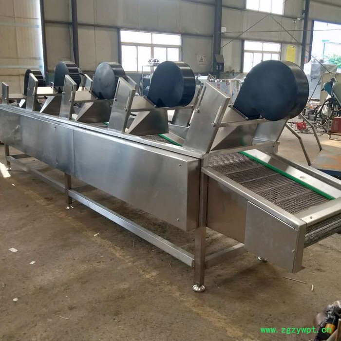 中药材风干线大枣风干机 娃娃菜连续式清洗机图8