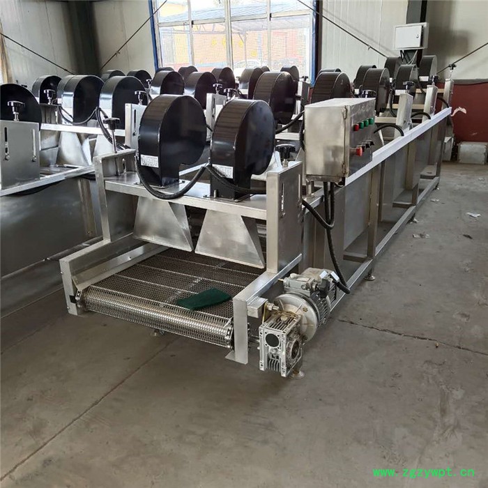 中药材风干线大枣风干机 娃娃菜连续式清洗机图6