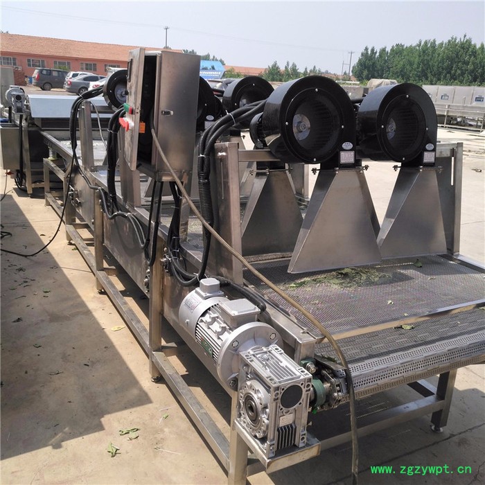 中药材风干线大枣风干机 娃娃菜连续式清洗机图5