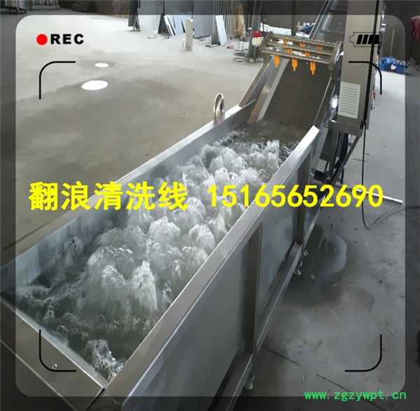 中草药量身定做清洗机【1516565.2690】全自动中药清洗机 药材清洗机图2