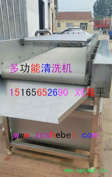 中草药量身定做清洗机【1516565.2690】全自动中药清洗机 药材清洗机图5