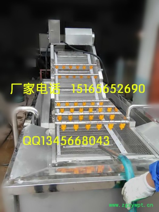 中草药量身定做清洗机【1516565.2690】全自动中药清洗机 药材清洗机图7