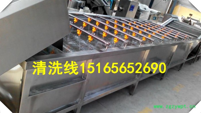 中草药量身定做清洗机【1516565.2690】全自动中药清洗机 药材清洗机图4