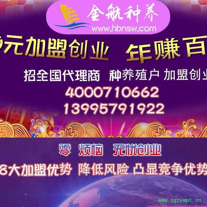 0元创业 年赚百万 中药材招商加盟图2