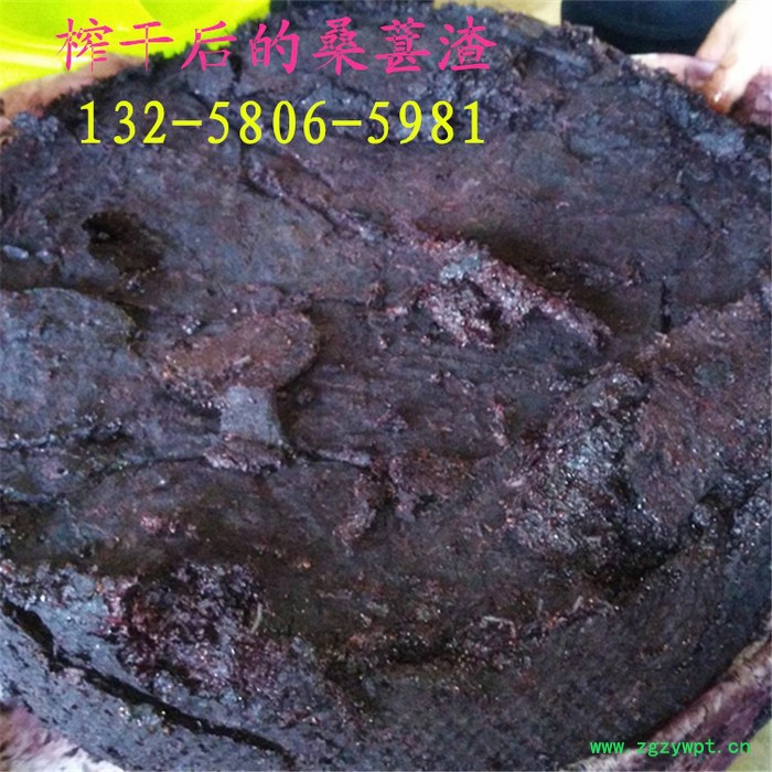 中药渣压榨机 药材人参石斛熬制药汁过滤压榨机 自动卸渣液压压榨机图5