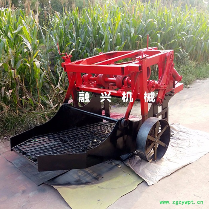 山东中药材挖掘机生产厂家 白芷药材起药机型号图8