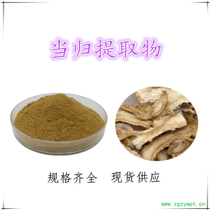 兰州沃特莱斯生物  当归提取物 当归粉 现货供应  当归多糖 中药材提取图6