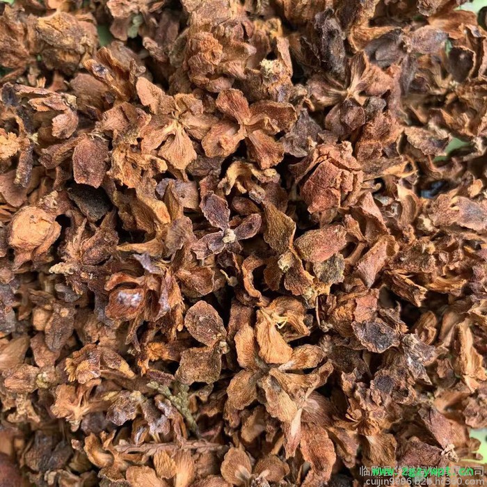 批发 中药材柏子壳 柏子仁壳饲料 现货供应 欢迎洽谈图3