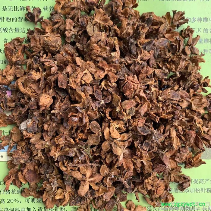 批发 中药材柏子壳 柏子仁壳饲料 现货供应 欢迎洽谈图8