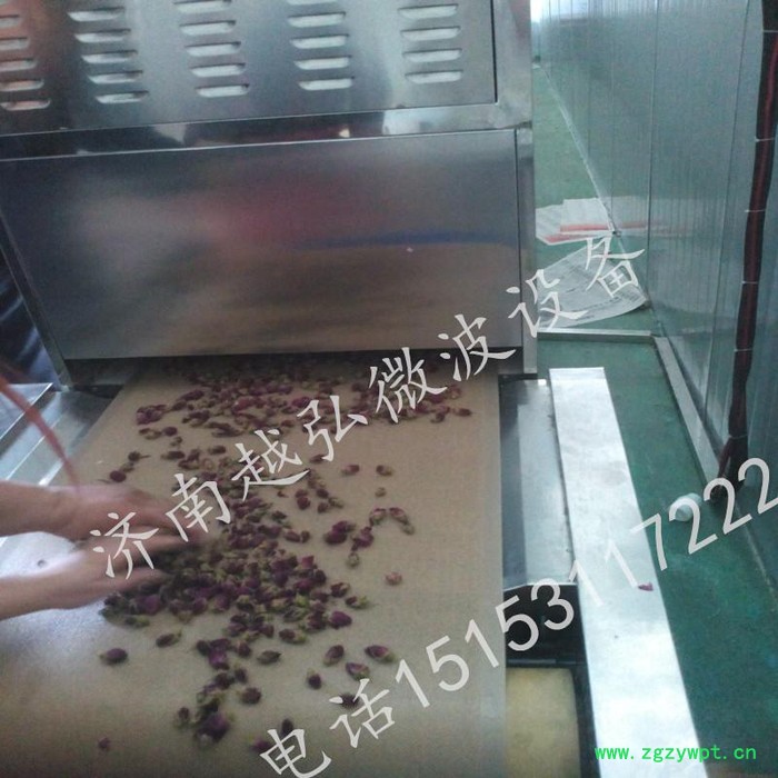 越弘YH-50kw微波中药饮片微波杀菌设备图8