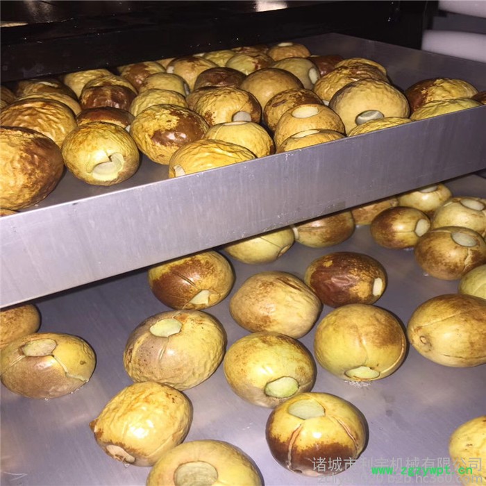 冻干狗粮设备 中药材低温冻干机 对虾冷冻干燥机图3