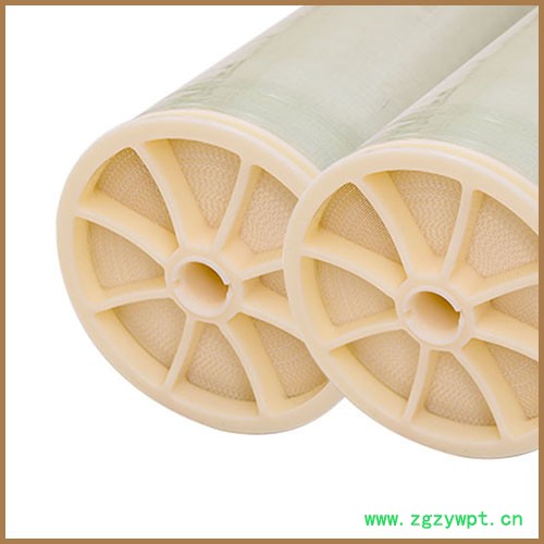 反渗透浓缩提纯设备 中药提纯浓缩提纯设备 德兰梅勒浓缩提纯设备图2