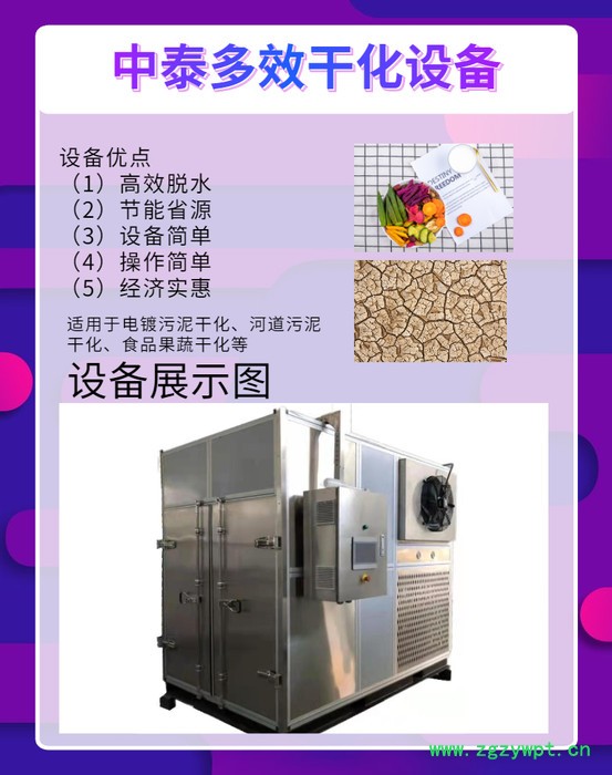 中泰果蔬干化 中药材干化设备