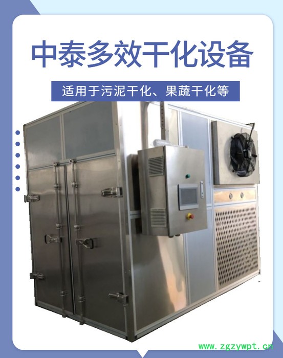 中泰果蔬干化 中药材干化设备图2