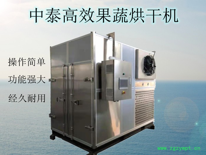 中泰果蔬干化 中药材干化设备图7