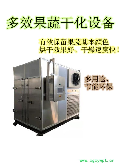 中泰果蔬干化 中药材干化设备图5