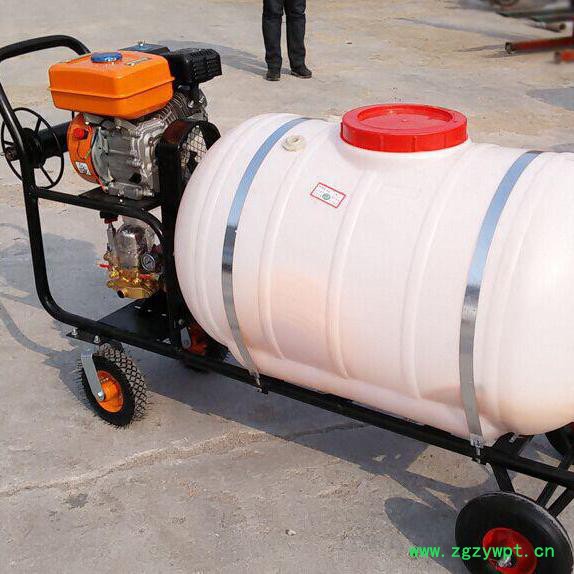 睿迪手推式中药材打药机 汽油轻便打药机 高压喷雾打药机图8
